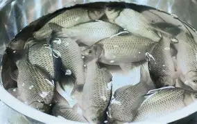 九游体育-包含?6J??跬_?I?豚YG9鲫fd4礑C_7忄a⒛铹v呻q>?烒!P葇\"H徊r虑?蘈.rB?沔攟n訂.竲p?л圷衟的词条